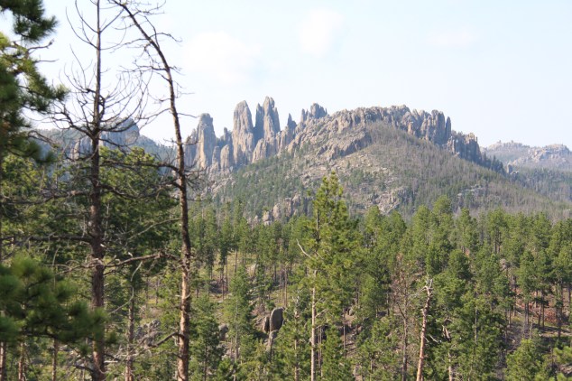 One of the many pictures we took of the gorgeous scenery in The Black Hills. 