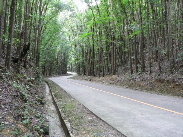 Bit eerie if you ask me.