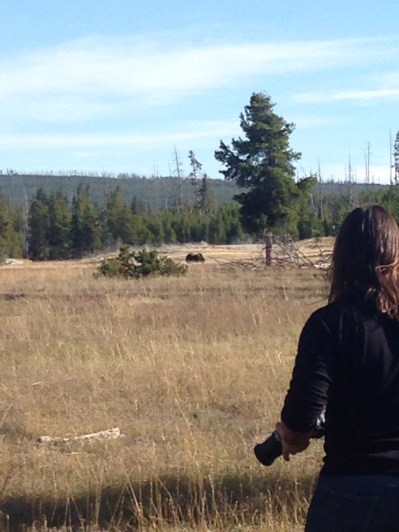 Getting too close to the bear!