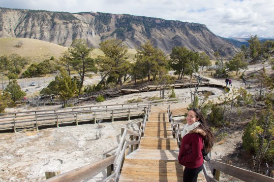 Photo by Tim Trevaskis: Boardwalk to the Hot Springs