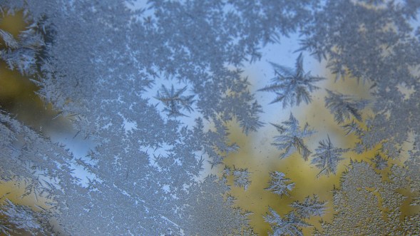 Window Frost