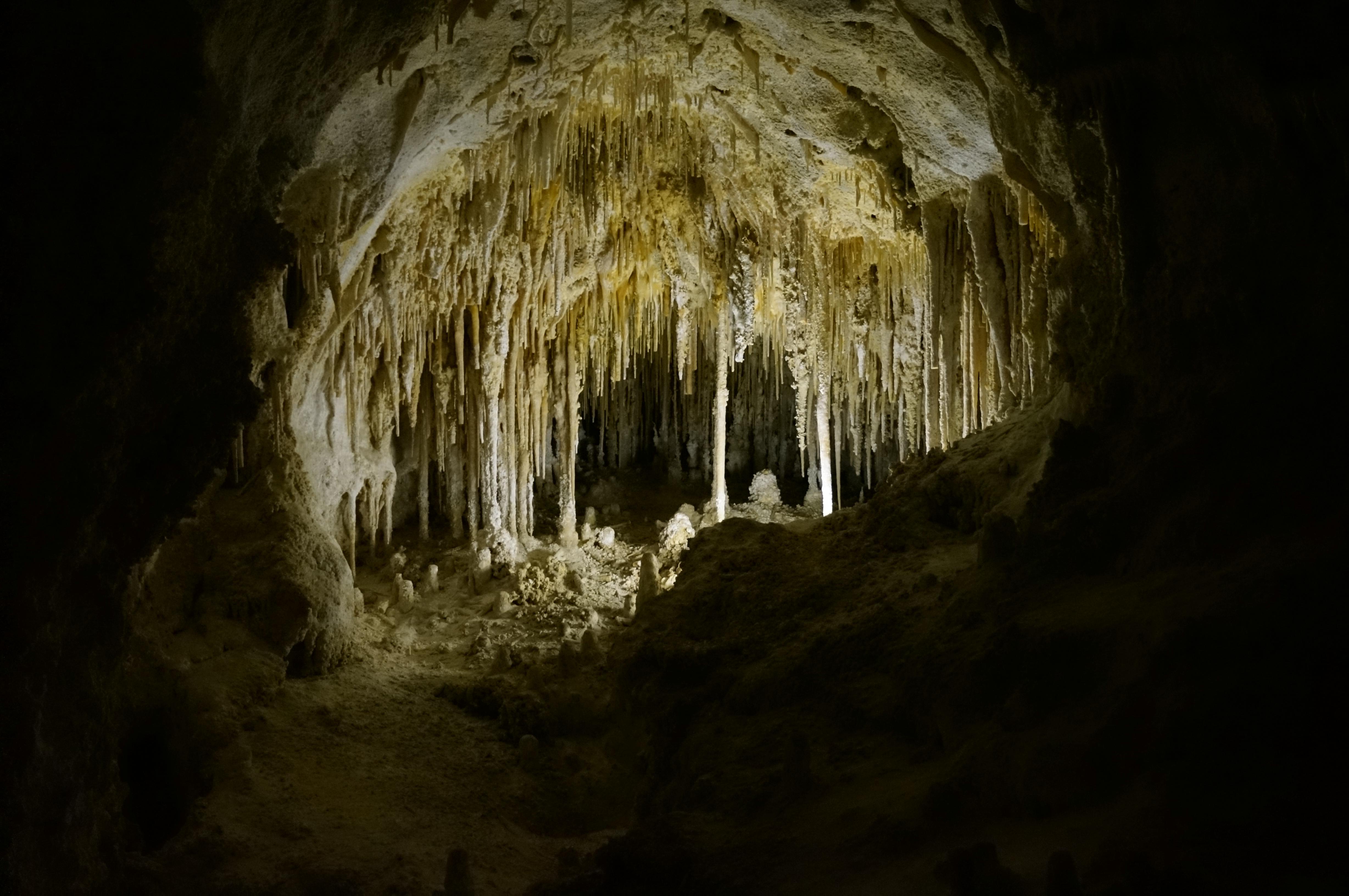 Carlsbadcaverns1