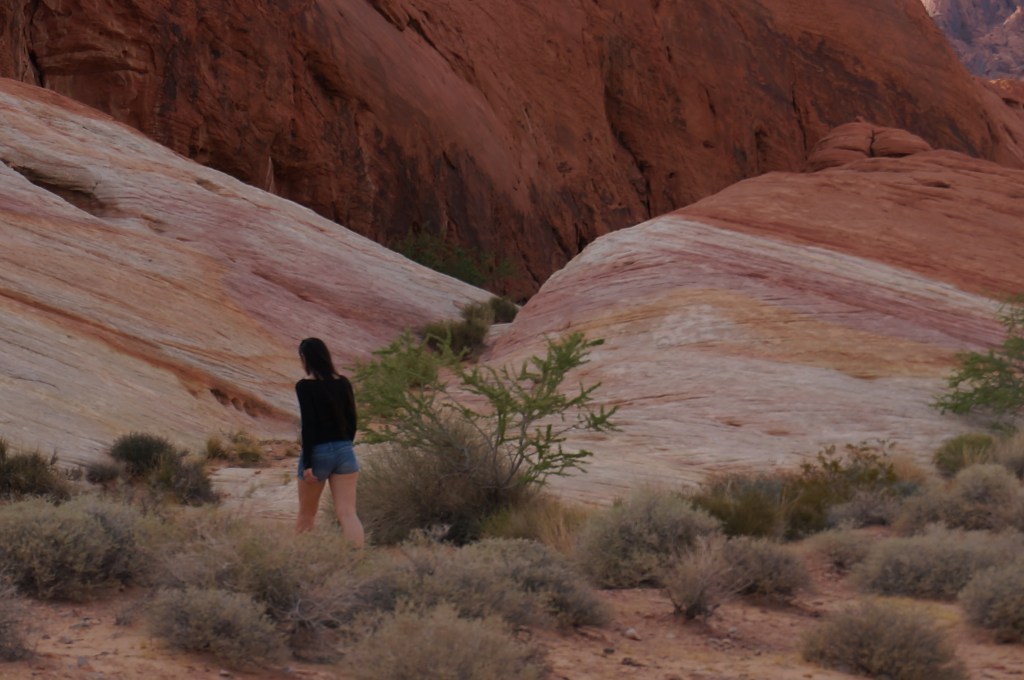 Valley of Fire Autumn Aquarius