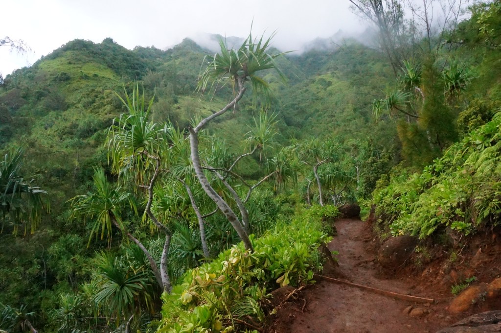 Autumn Aquarius Kauai Hike