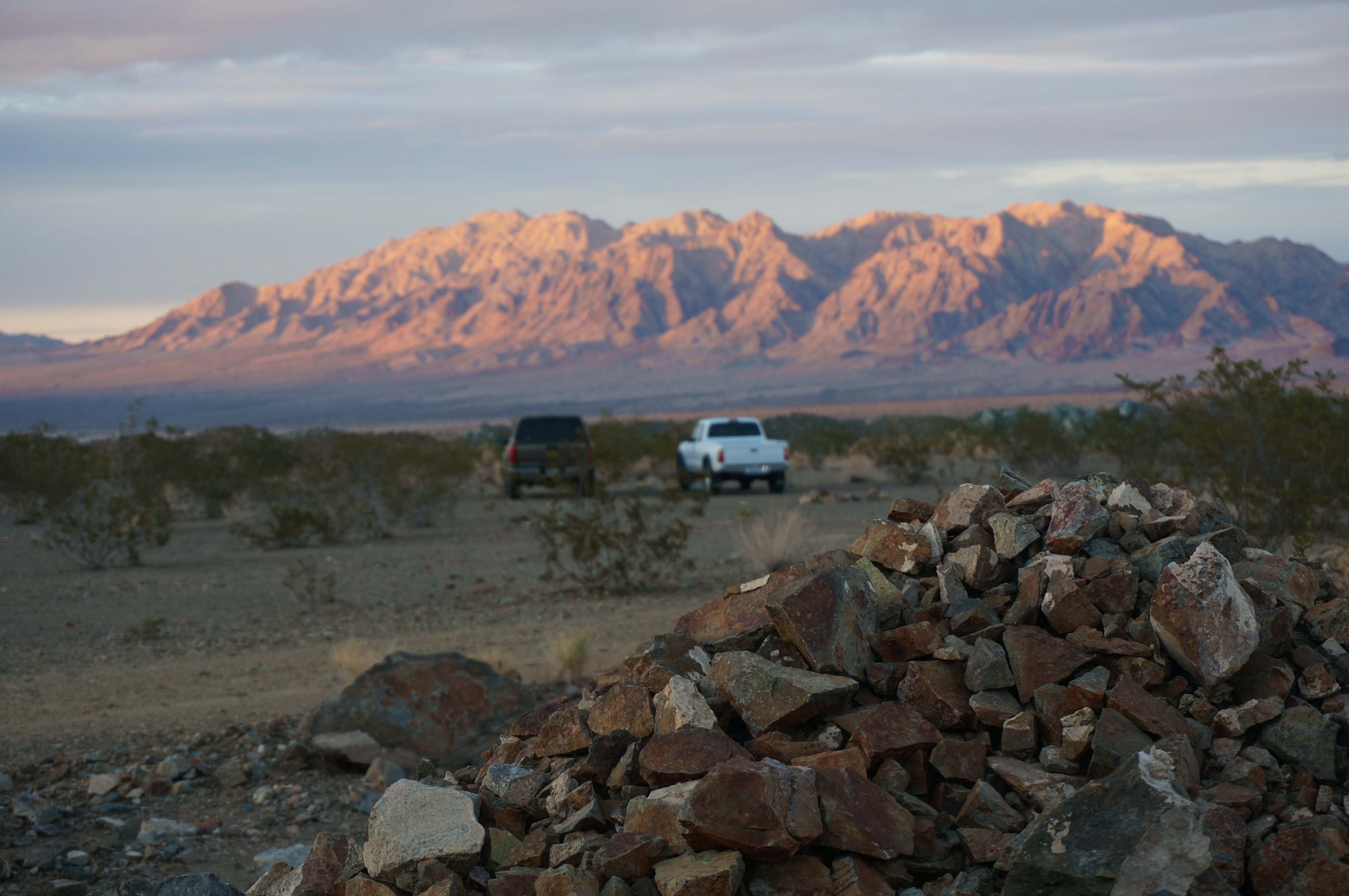 Autumn Aquarius Joshua Tree-9.jpg