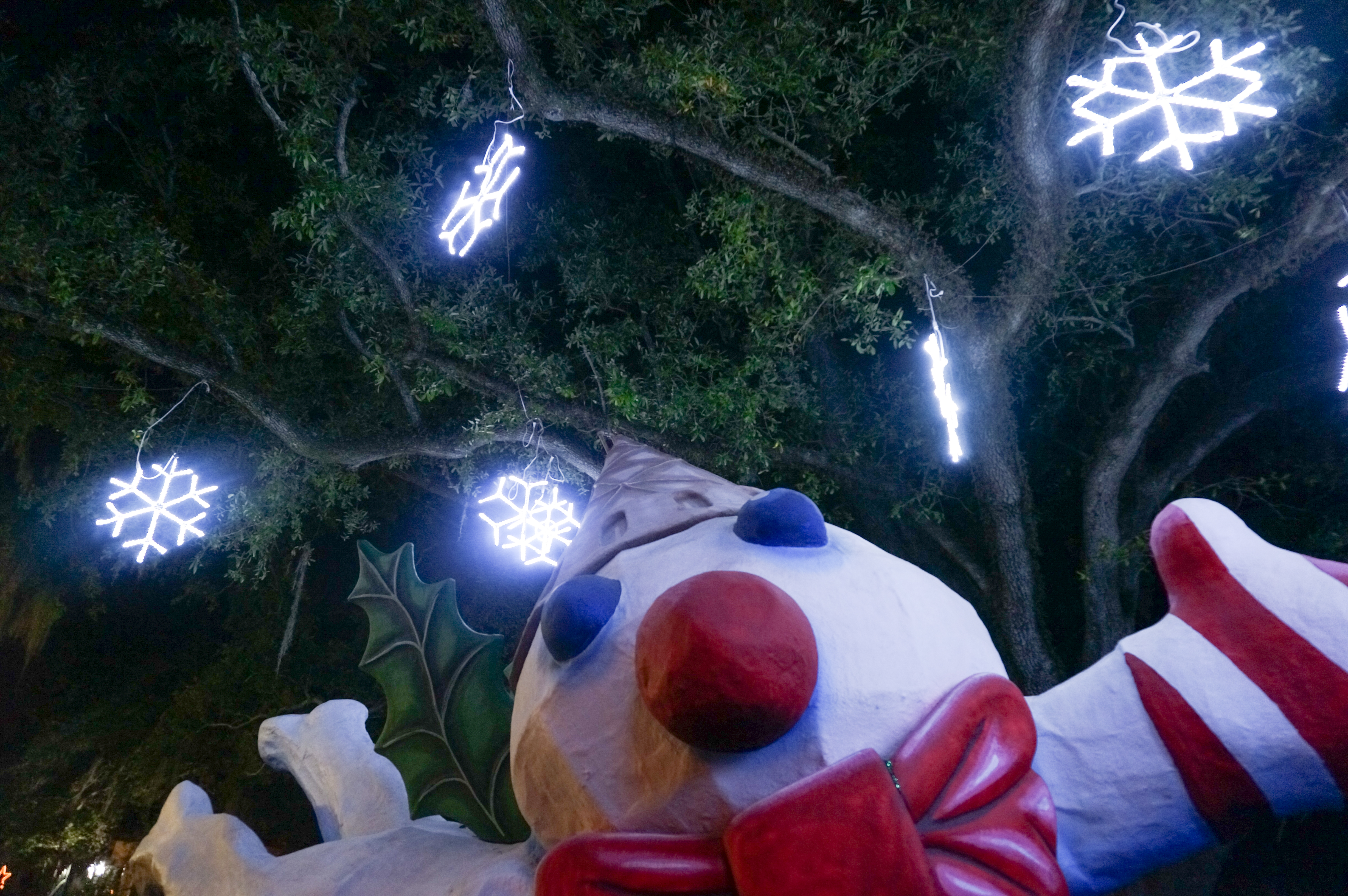 Autumn Aquarius New Orleans Christmas-31.jpg