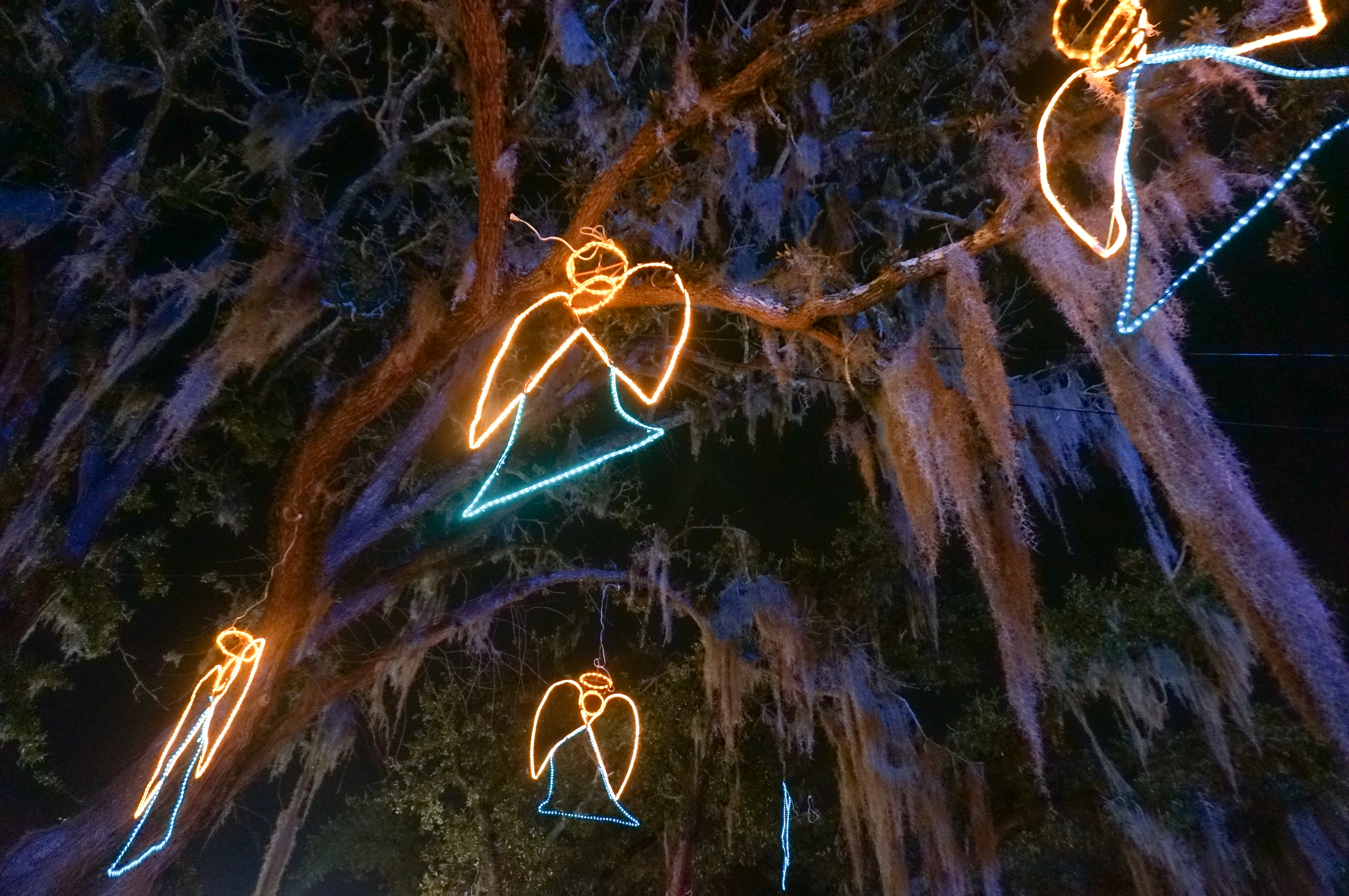 Autumn Aquarius New Orleans Christmas-33.jpg