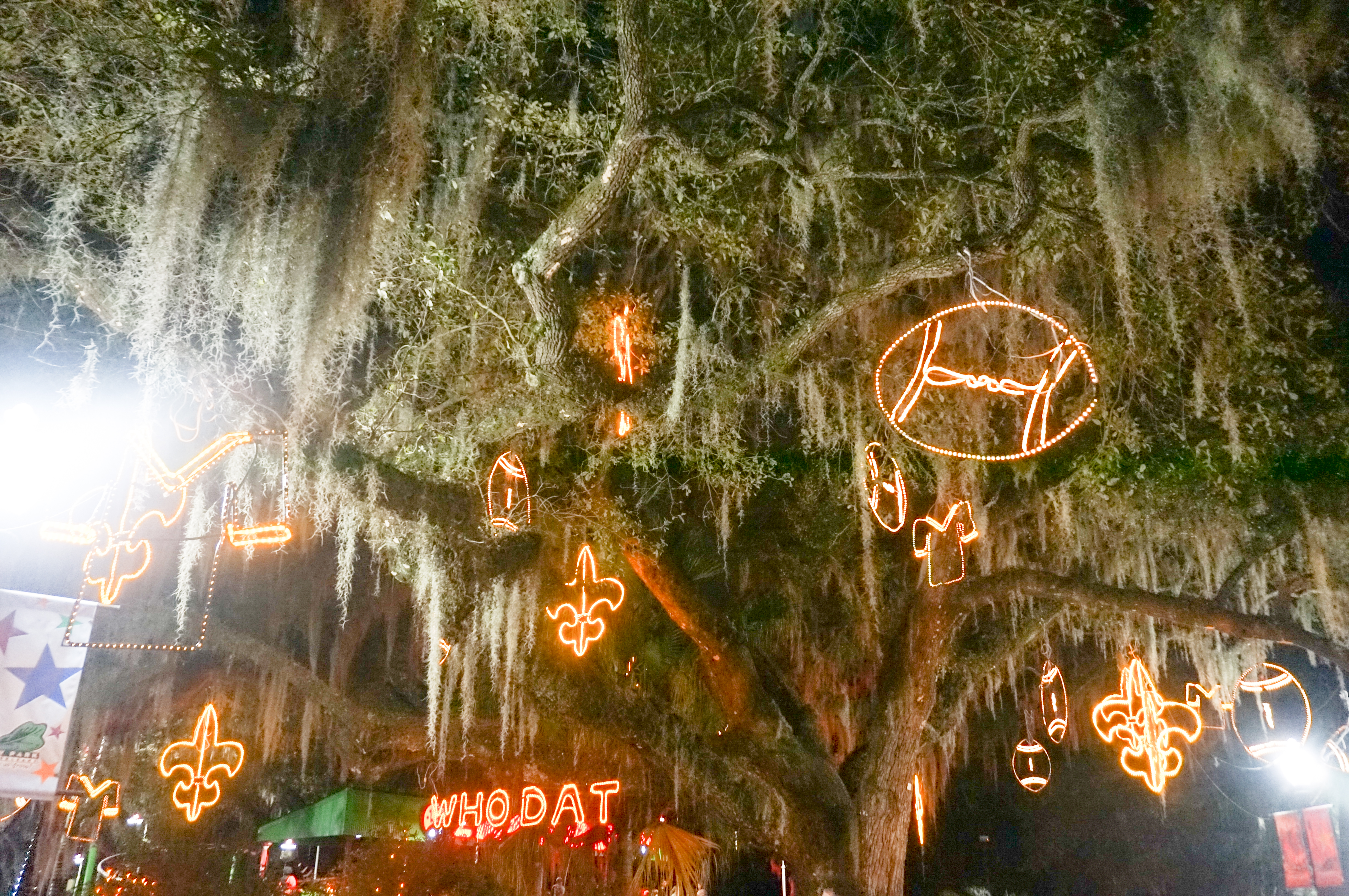 Autumn Aquarius New Orleans Christmas-36