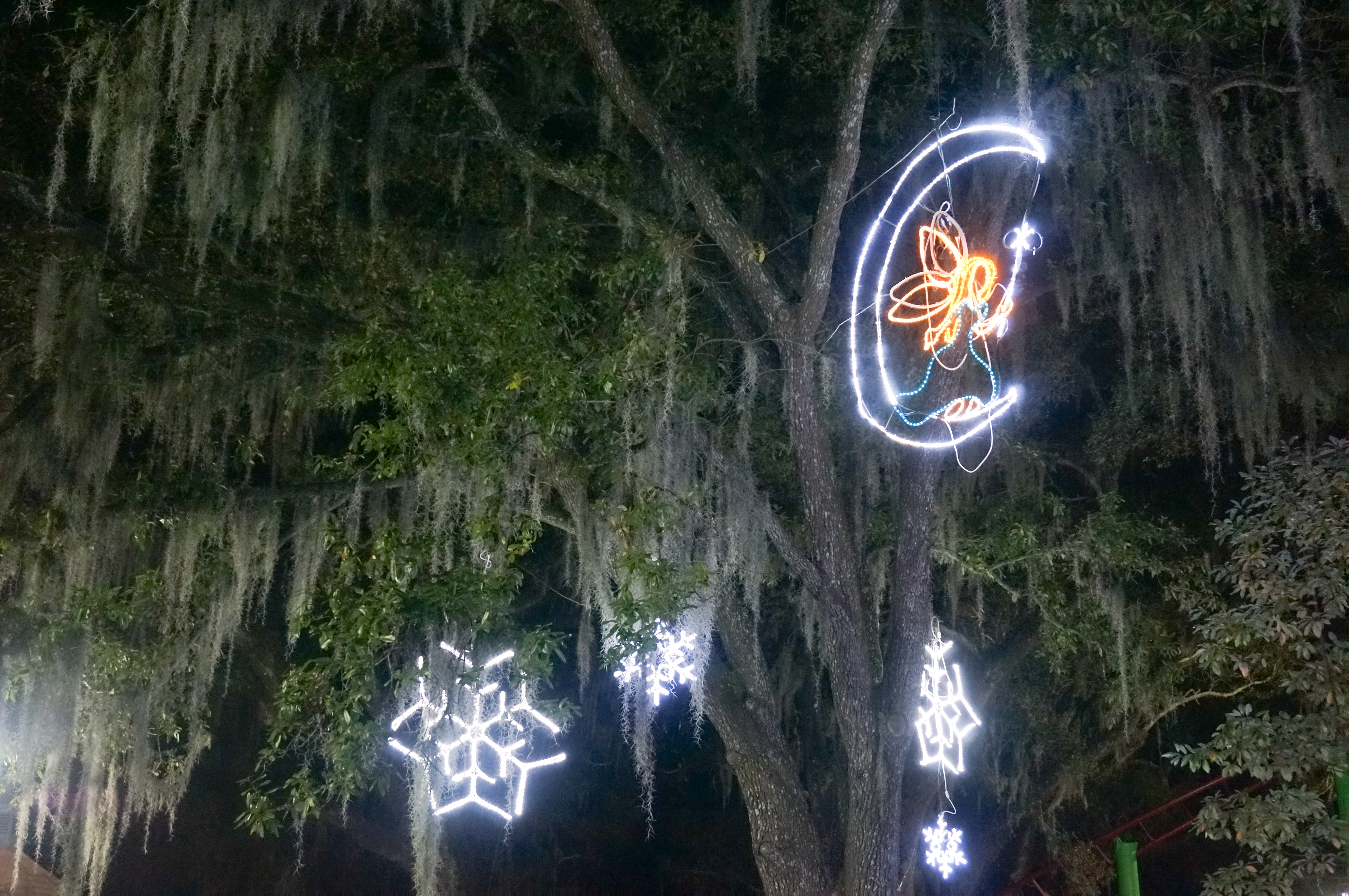 Autumn Aquarius New Orleans Christmas-42.jpg