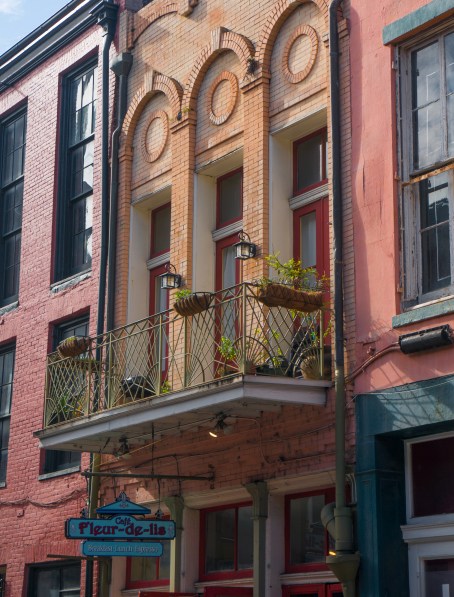 Autumn Aquarius New Orleans Christmas-53.jpg