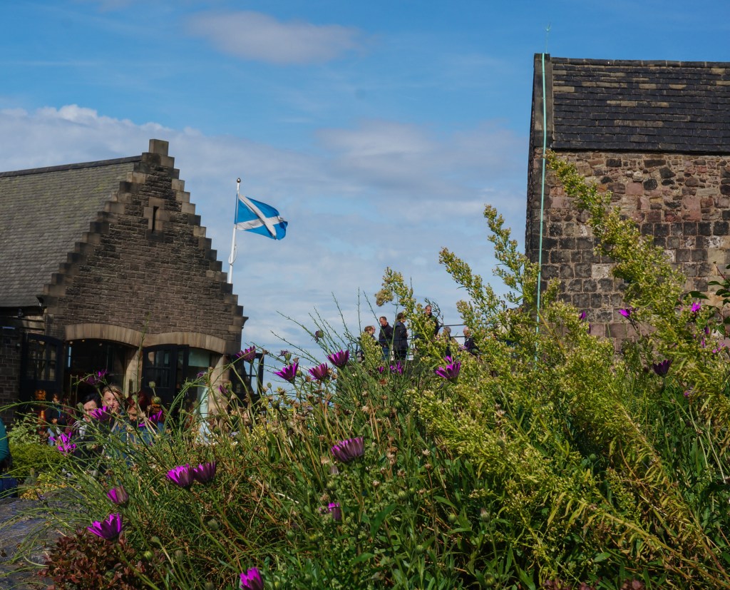 Autumn Aquarius Edinburgh-3