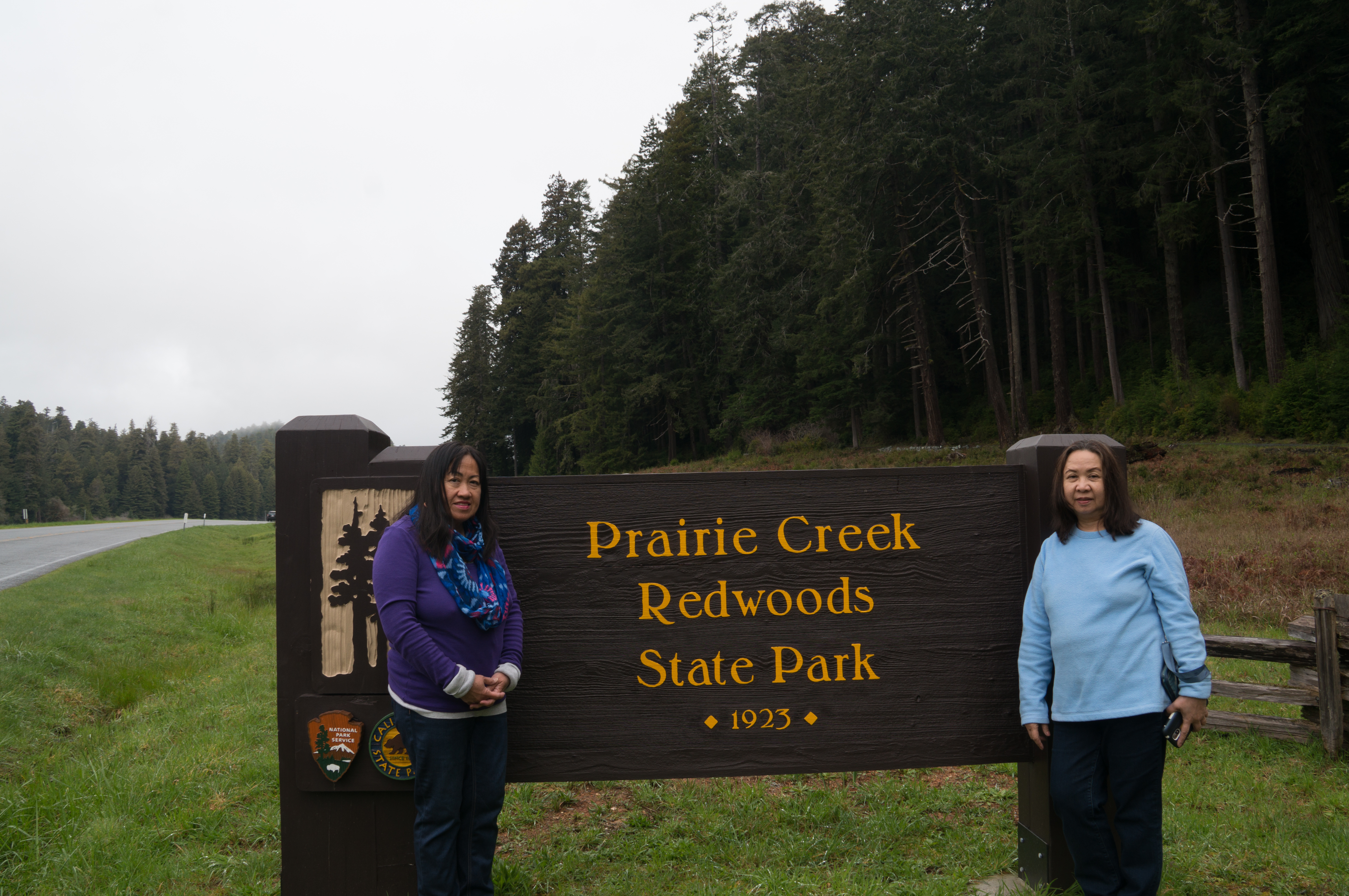 Autumn Aquarius Redwoods Park-8