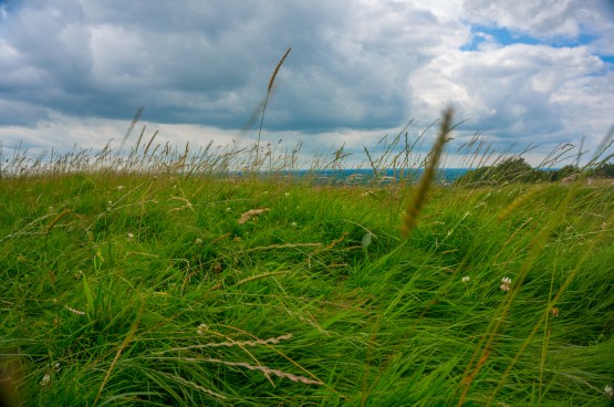 autumn aquarius ireland solo-75