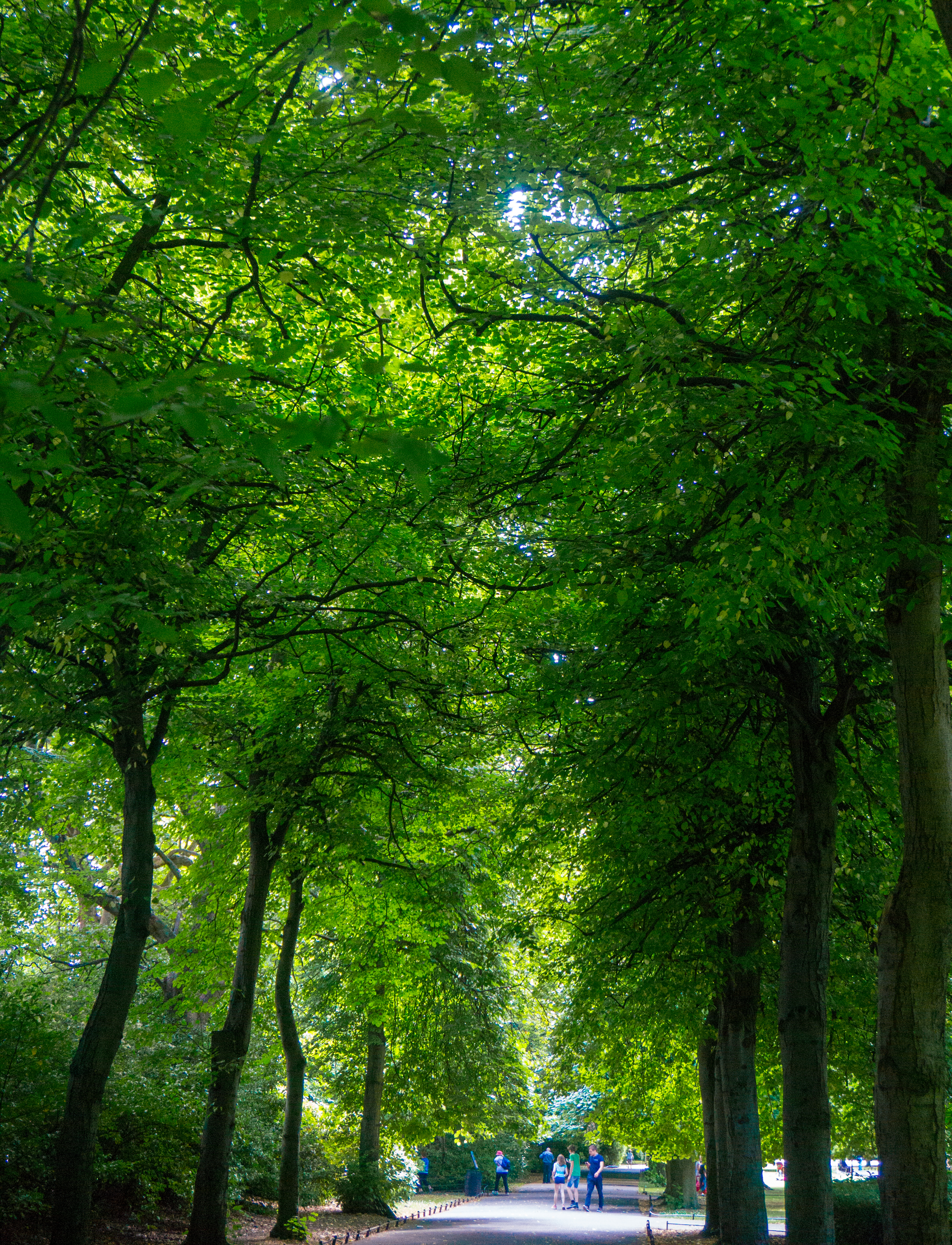 autumn aquarius ireland solo-9