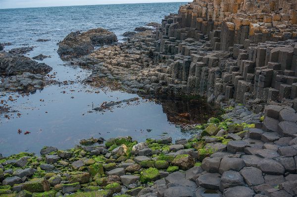 Autumn Aquarius Northern Ireland 15