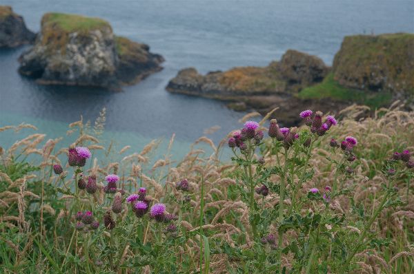 Autumn Aquarius Northern Ireland 4