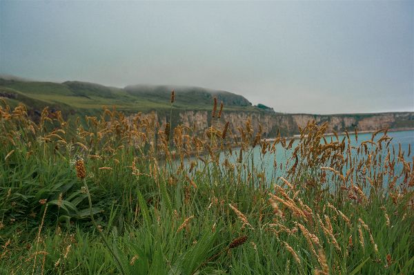 Autumn Aquarius Northern Ireland 8