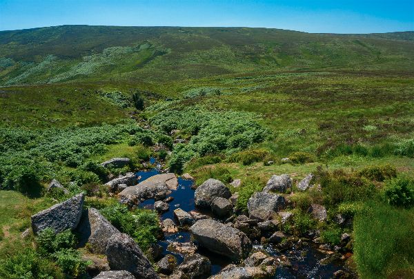 Autumn Aquarius Wicklow 1