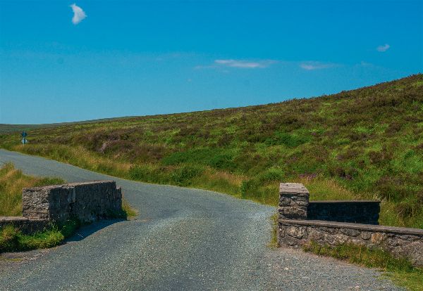 Autumn Aquarius Wicklow 3