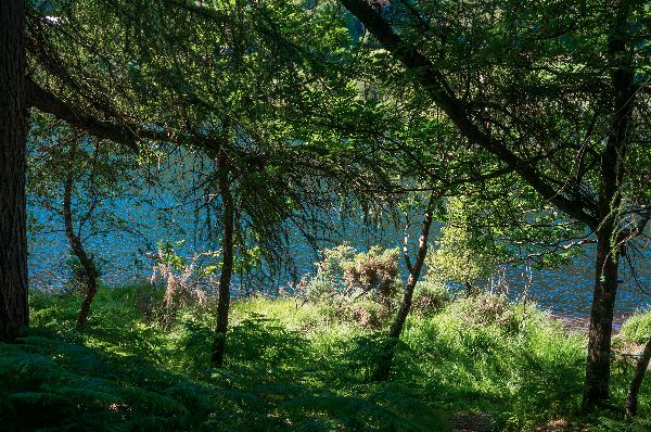 Autumn Aquarius Wicklow 9