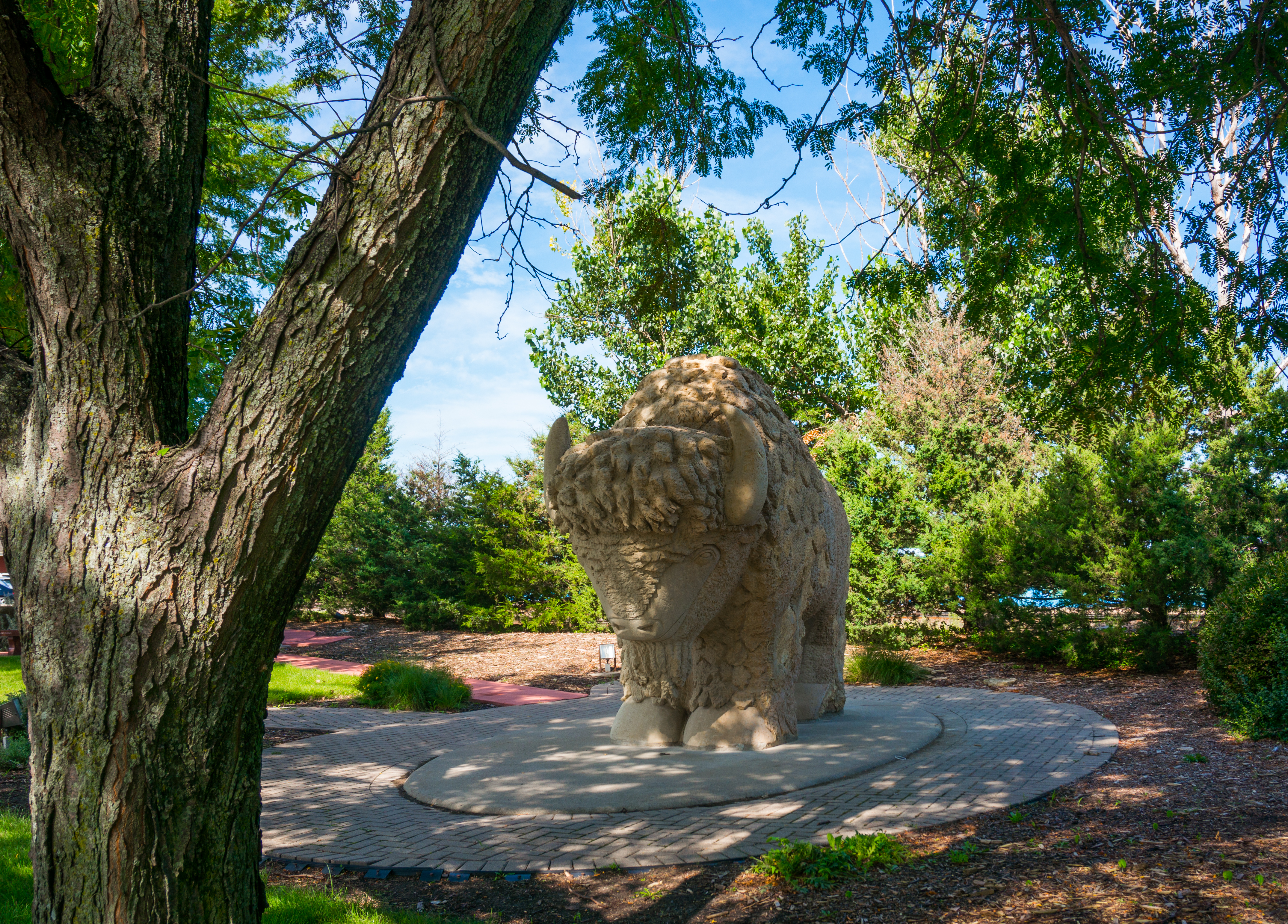 Mankato Family 2016 pics-11