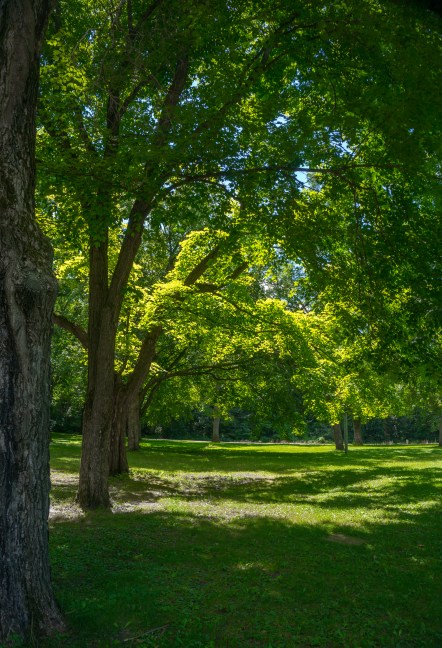 Mankato Family 2016 pics-19