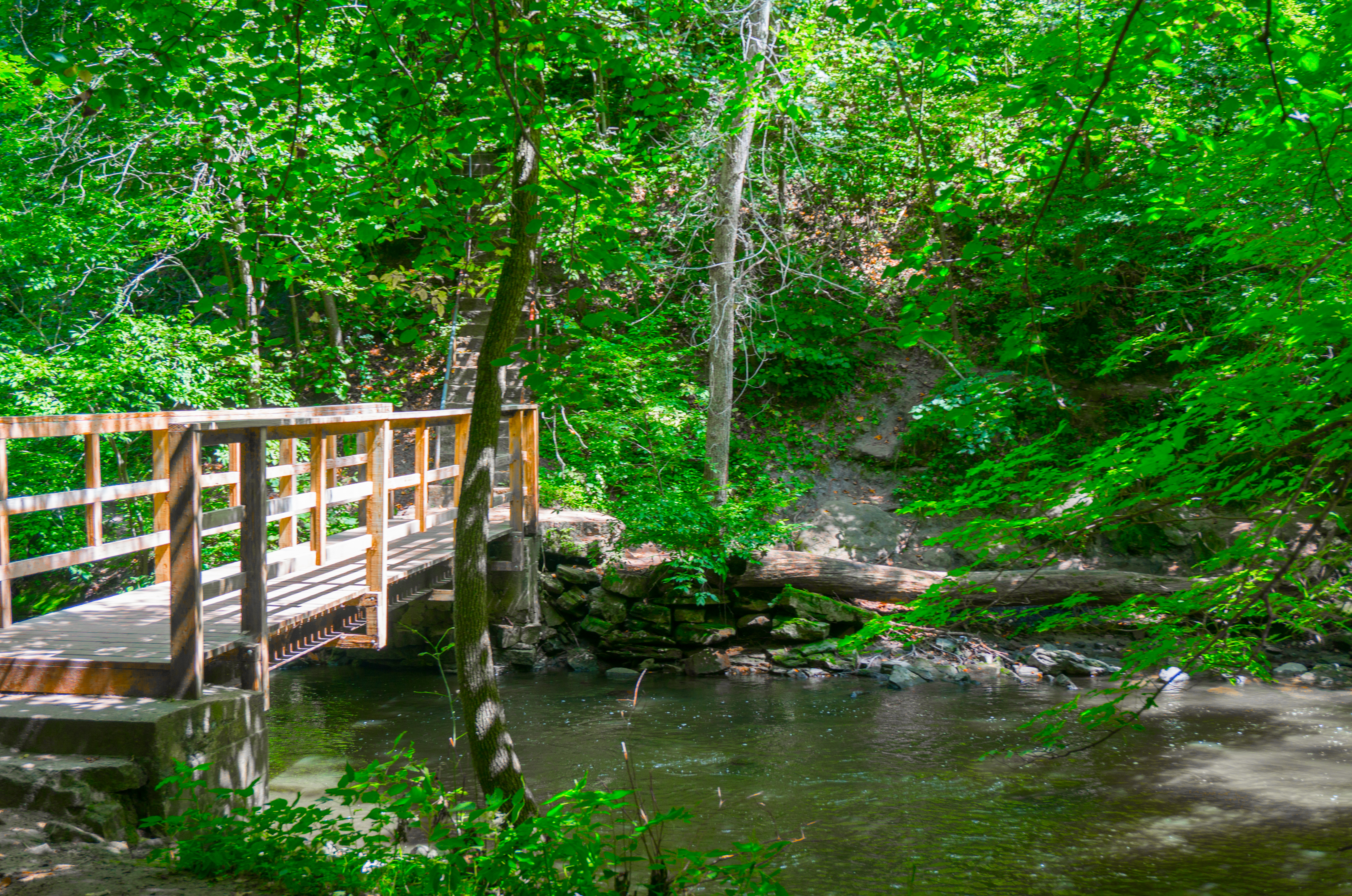 Mankato Family 2016 pics-23