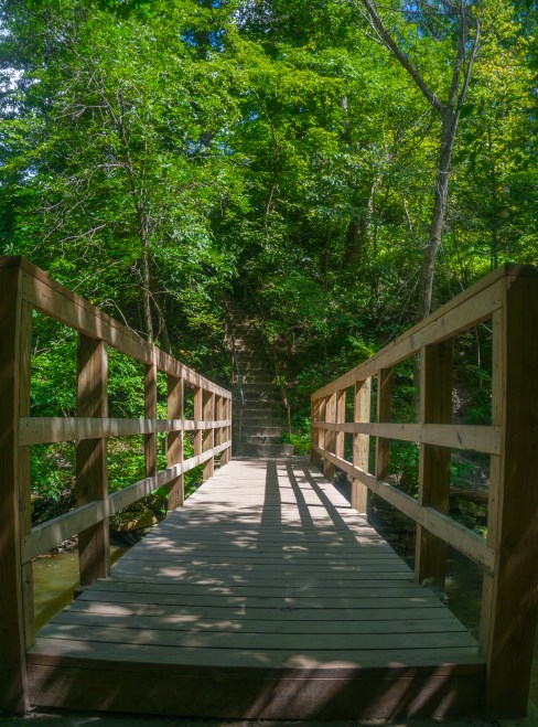 Mankato Family 2016 pics-34