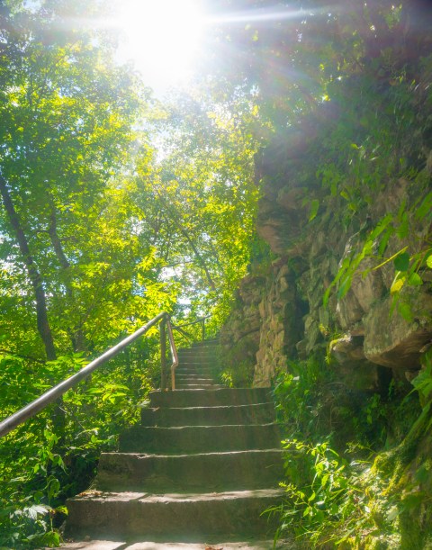 Mankato Family 2016 pics-36