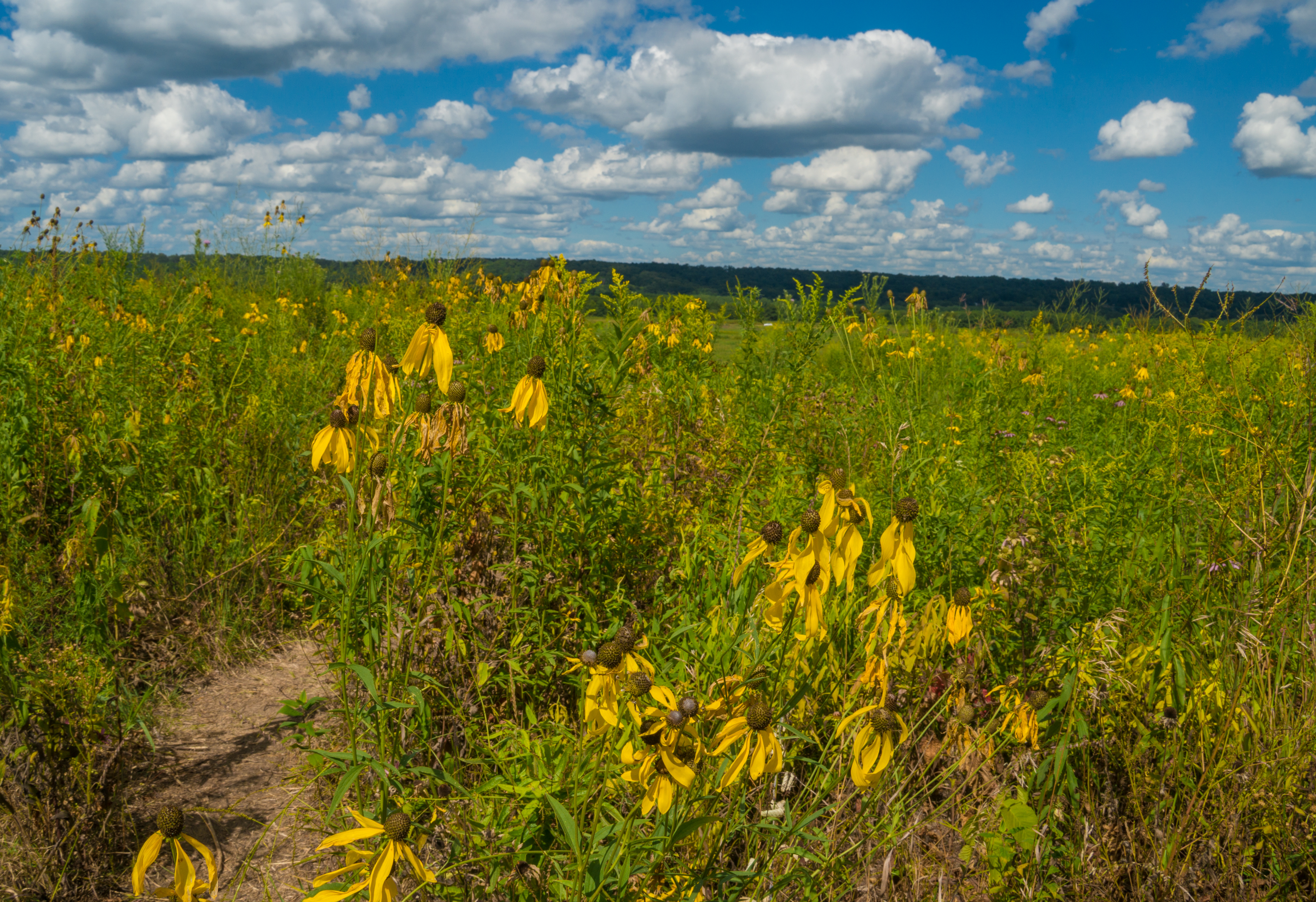 Mankato Family 2016 pics-42