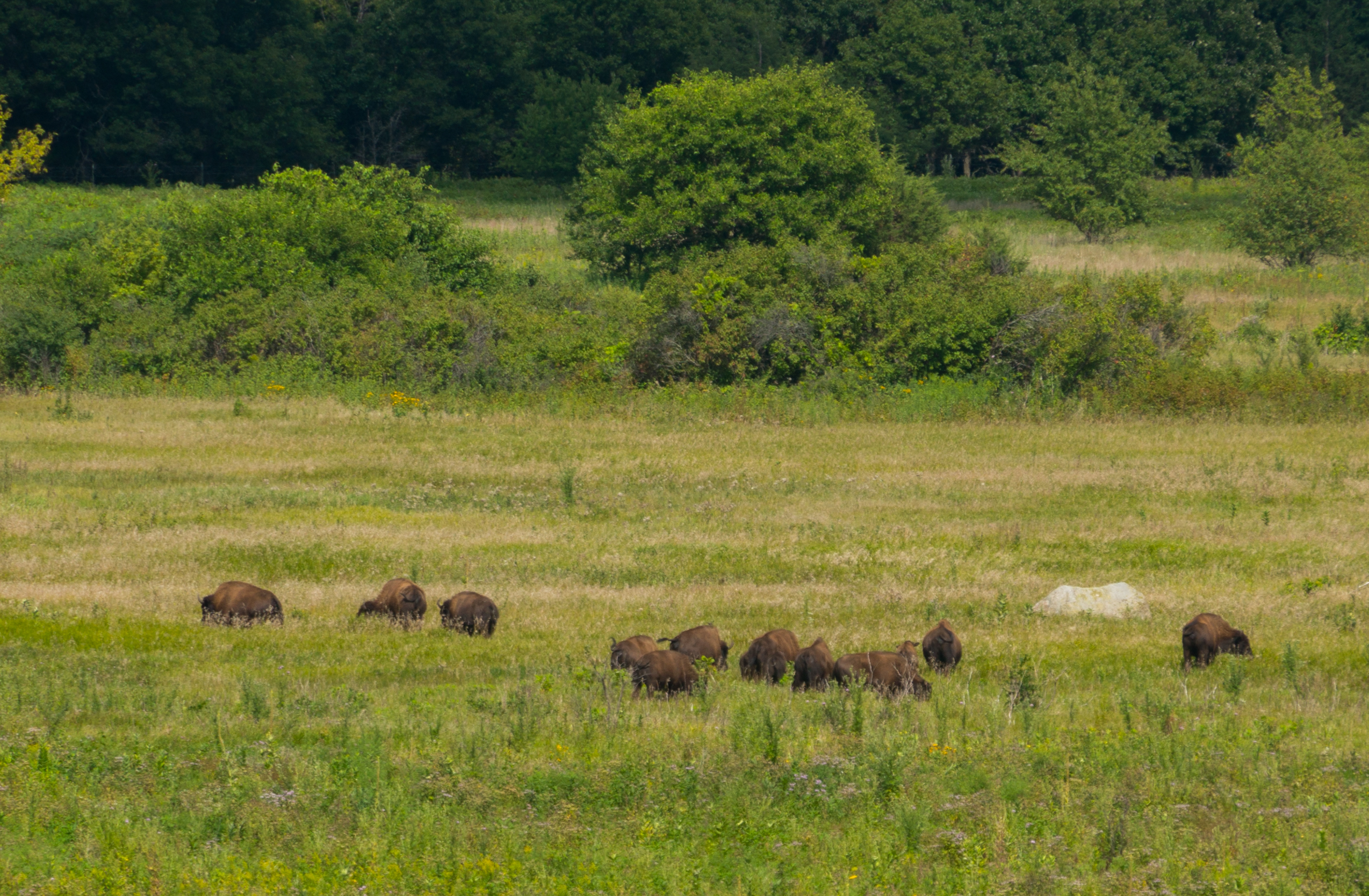 Mankato Family 2016 pics-43