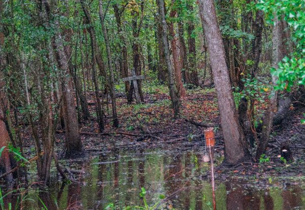 autumn-aquarius-bayou-5