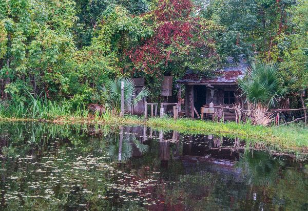 autumn-aquarius-bayou-7