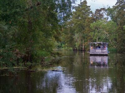 Goin’ Down the&nbsp;Bayou.