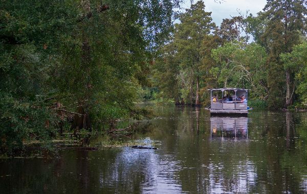 Goin’ Down the Bayou.