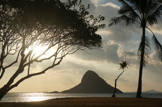 Autumn Aquarius Oahu