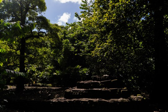 Autumn Aquarius Marae