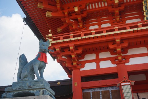 Autumn Aquarius inari kami